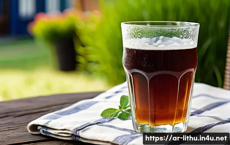 اكتشف كنوز ليتوانيا الخفية دليل المشروبات التقليدية والنبيذ الذي سيذهلك 3 리투아니아 와인과 전통 음료 관련 이미지 1